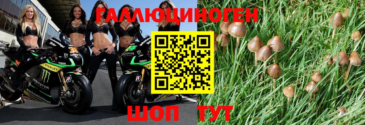 Рыбинск  где продают   Вход с VPN  Галлюциногенные грибы Psilocybe 